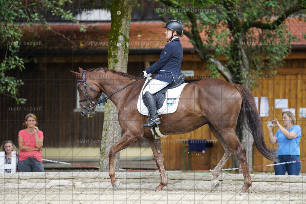 20230826-FAH05333 | Forstinning, 2023, Dressurturnier, Turniersportbilder, Turnierfotografen Bayern, Fotoagentur Herrmann, Reitsportfotografie, Turnierbilder