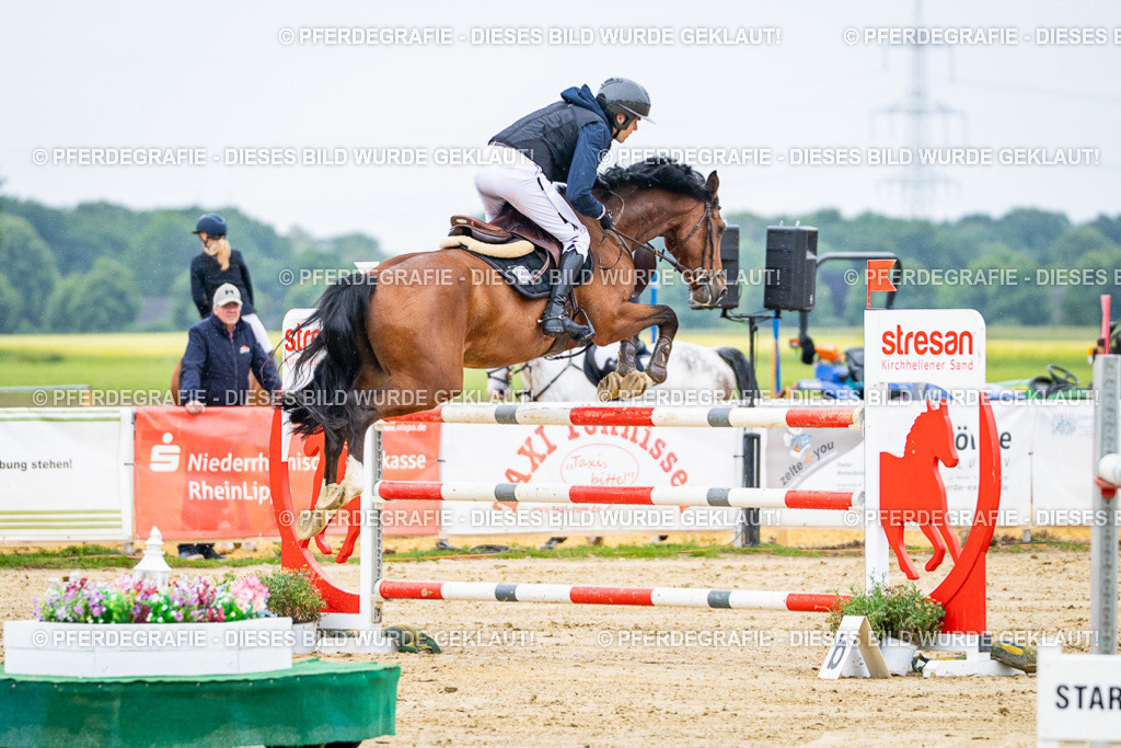 DSC08327 | Pferdegrafie