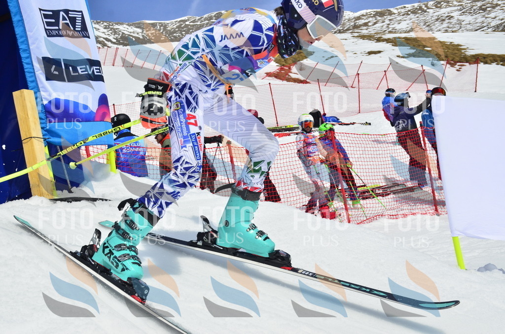 _ELE2018 | holidayphoto