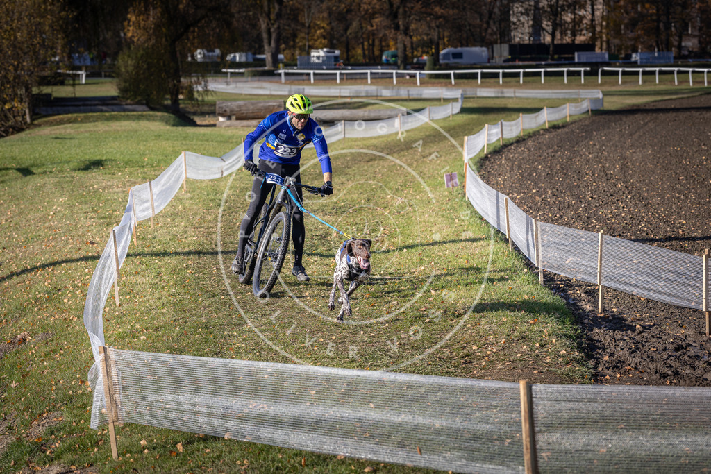 CaniXpix_DV3A3540 | Hundefotografie, Tierfotograf, Pfotenfotografie, Fotoshooting Hund, Hunde Portrait, Hundesport, Hundeportraits, Heideshooting, Hunde, Sportfotograf, Hundefotograf, Turnierhundsport, THS,  - Realisiert mit Pictrs.com
