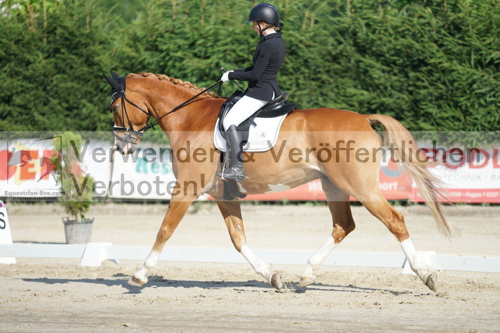 DSC04442 | equestrian-live-com