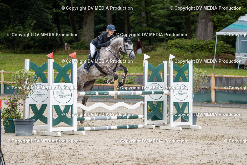 Hessische Tag 1-007 | dv-media-shop - Realisiert mit Pictrs.com