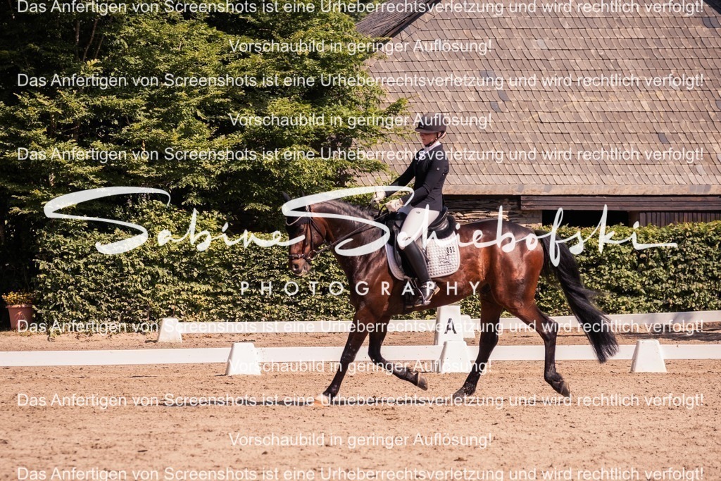 2025_05_31_DSCF3093 | People- und Tierfotografie, Imageaufnahmen, Veranstaltungsfotografie und Wandbilder aus der Natur ★ Made in Germany ✔️ Druck + Downloads ✔️ Naturfotografie in Top Qualität ★ schneller Versand, weltweite Lieferung! - Realisiert mit Pictrs.com