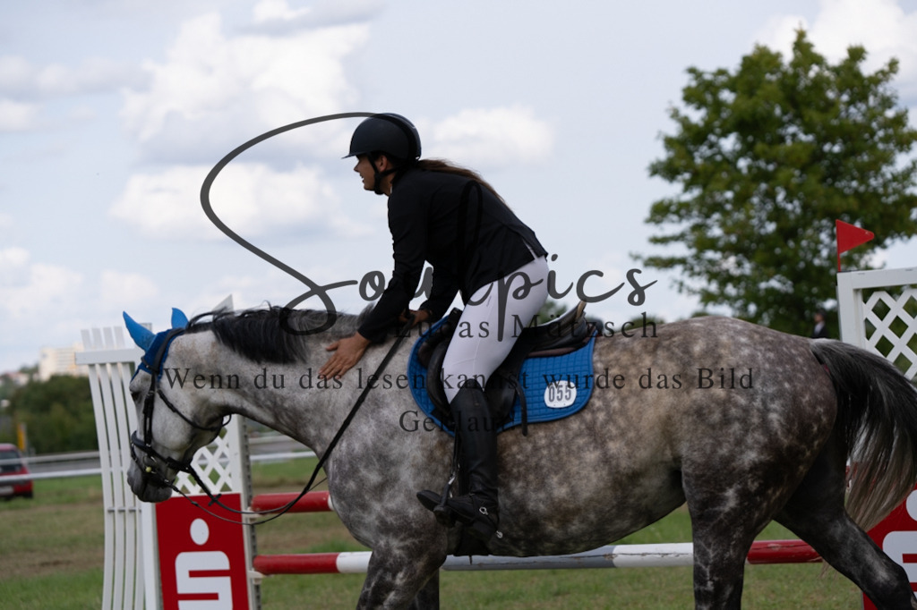 A7V04864 | Turnier/Reitfotograf