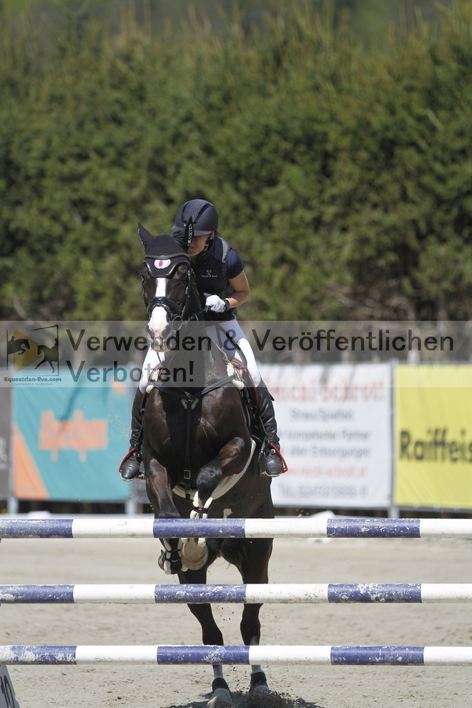 _MG_6624 | equestrian-live-com