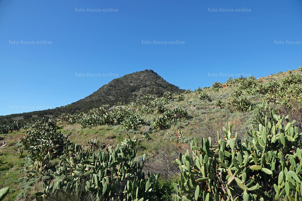 12 | foto-focus-online