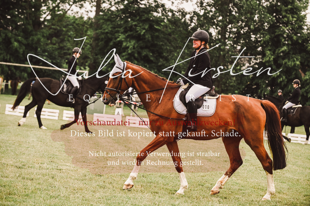 DSC_5074 | Pferde- und Turnierfotografie in Westsachsen. Pferdeportraits, Auftragszeichnungen und intuitive Kunst.