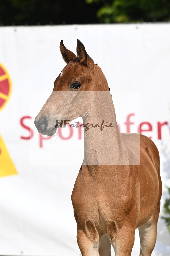 Feliciano x Danone I_SF_Huber_12250094 | hf-fotografie - Realisiert mit Pictrs.com