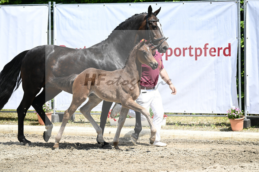 Kat-Nr. 24 HF DSP Montgomery_Amann_12231017 | hf-fotografie - Realizzato con Pictrs.com