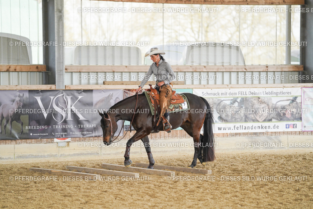 DSC02159 | Pferdegrafie