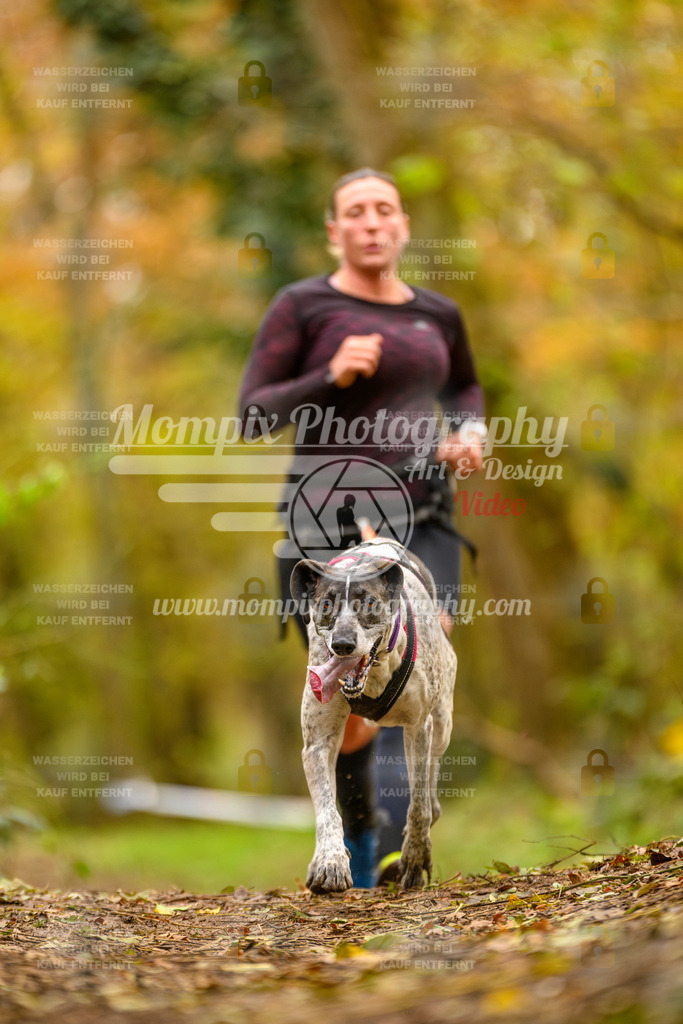 MompixPhotography_Bischwiller24_SA_Canicross-173 | PayLife