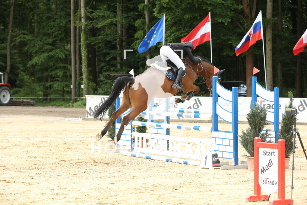 DL2Q1224 | Willkommen bei Brunnmayr - Design & Fotografie – Ihrem Spezialisten für Reitturniere und Pferdeveranstaltungen in Oberösterreich, Salzburg und Bayern! Seit über 17 Jahren sind wir leidenschaftlich dabei.