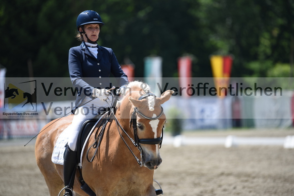 DSC_1026 | equestrian-live-com
