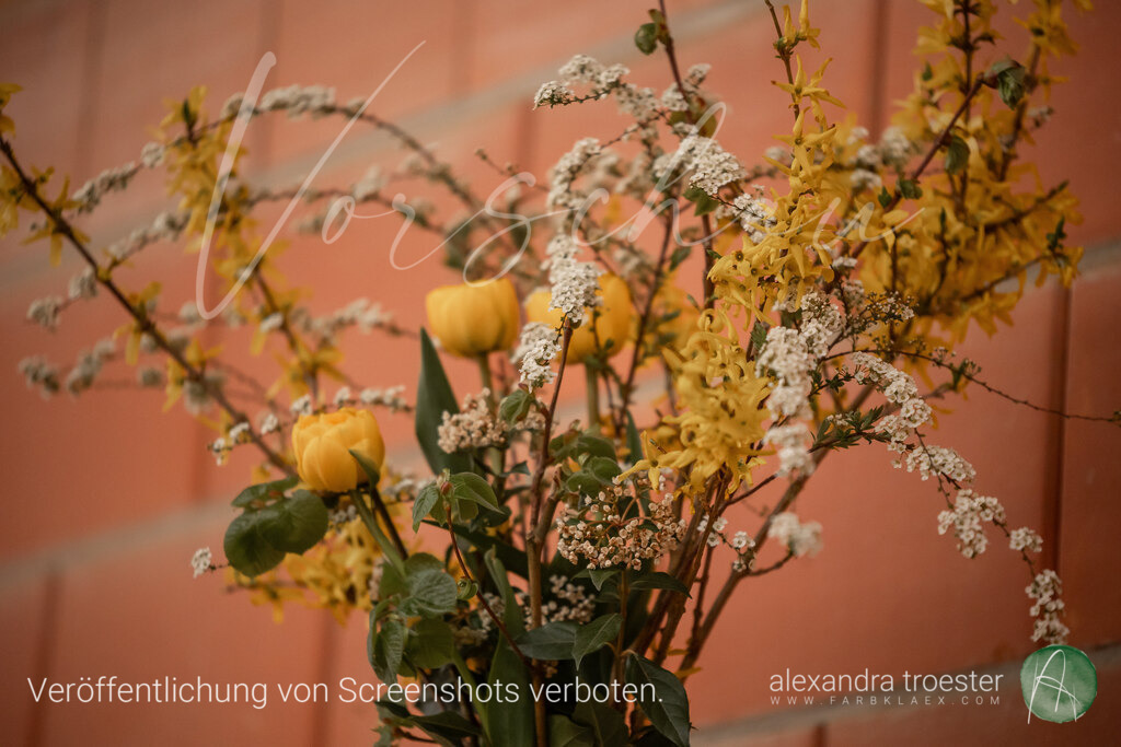 250405_Barop_00_072 | farbklaex.com