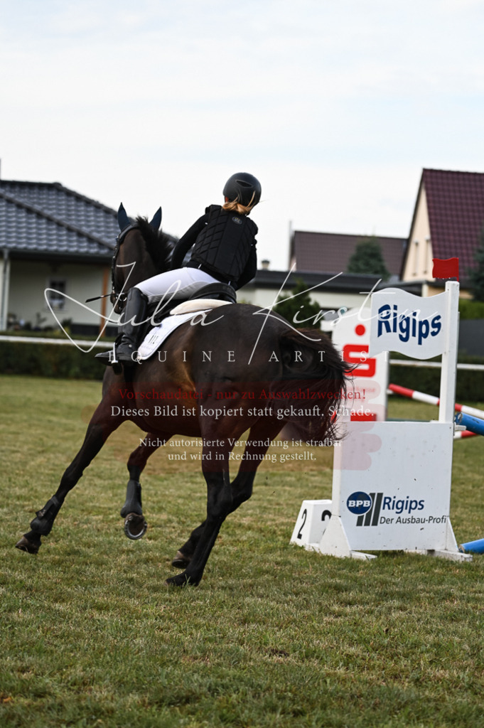 DSC_5590 | Pferde- und Turnierfotografie in Westsachsen. Pferdeportraits, Auftragszeichnungen und intuitive Kunst.