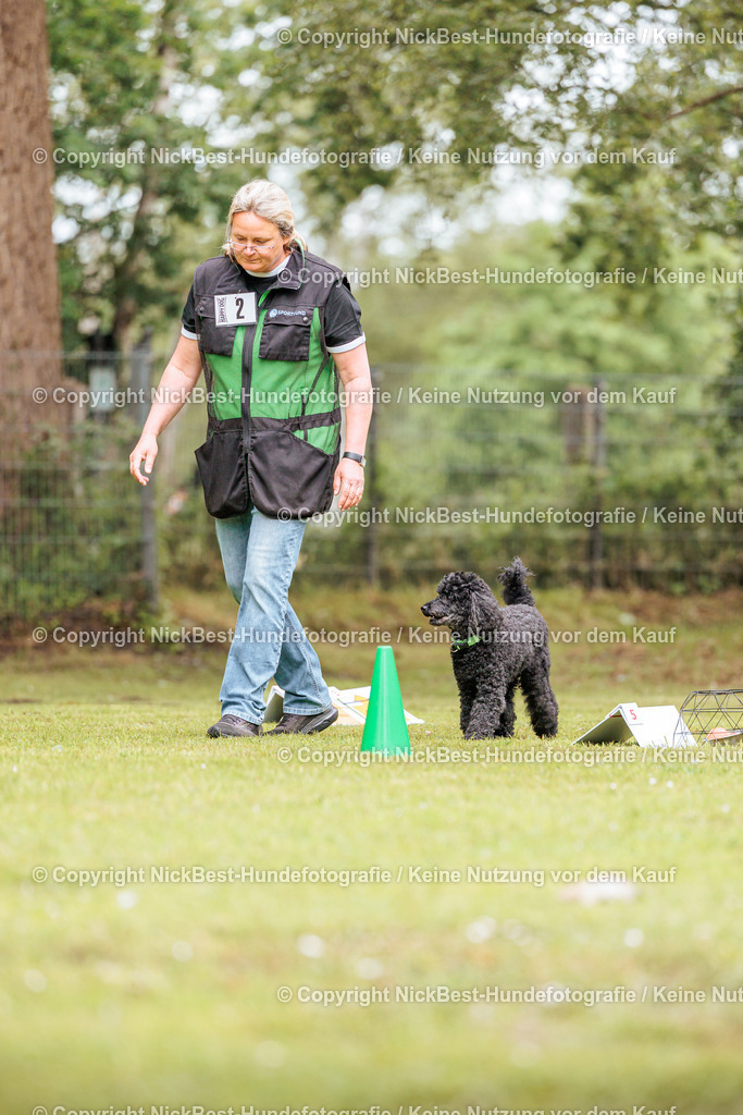 RO-Blumenthal-2026-Nickbest-Hundefotografie-1650 | Dein Hund! Dein Moment! Deine Erinnerungen! Hundefotografie in Bremen Blumenthal. Ich fange die besonderen Momente deines Vierbeiners ein – ob Indoor mit Blitzanlage oder in der freien Natur. Sicher dir dein Moment und dein Termin für eure Erinnerungen.