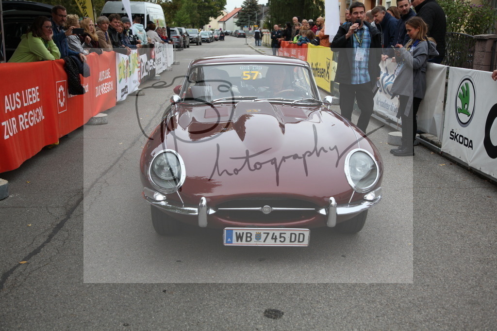 IMG_2384 | Gerhard Witt