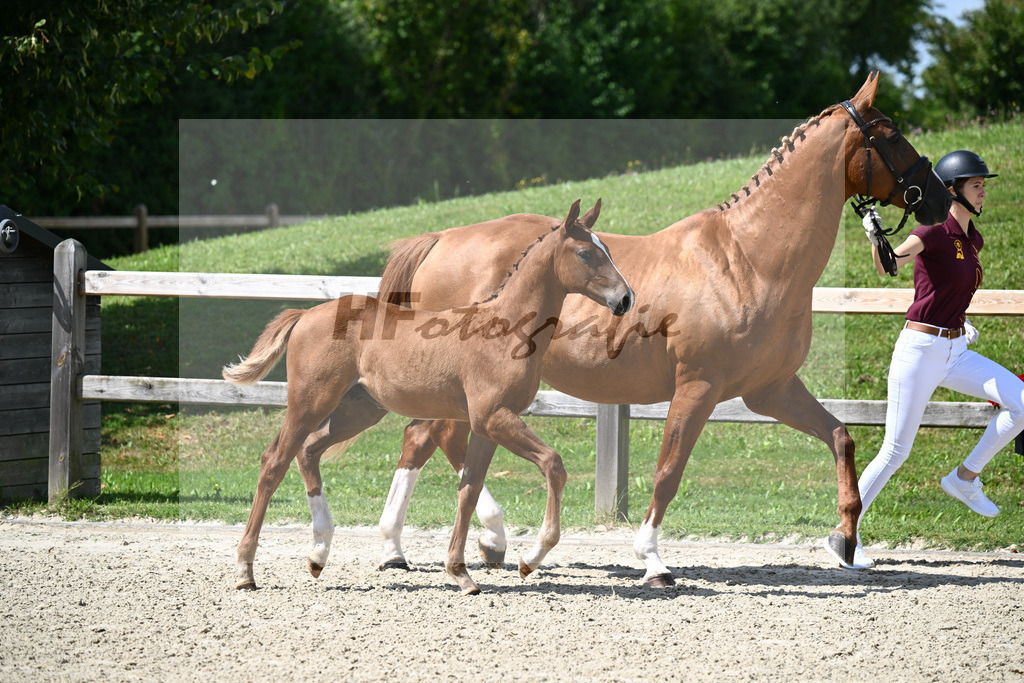 Vigaro x Starlight_HF_Weber_29240313 | hf-fotografie - Realizzato con Pictrs.com