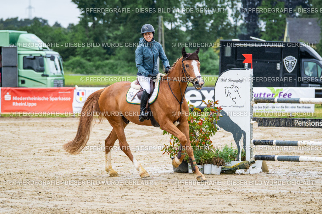 DSC03414 | Pferdegrafie