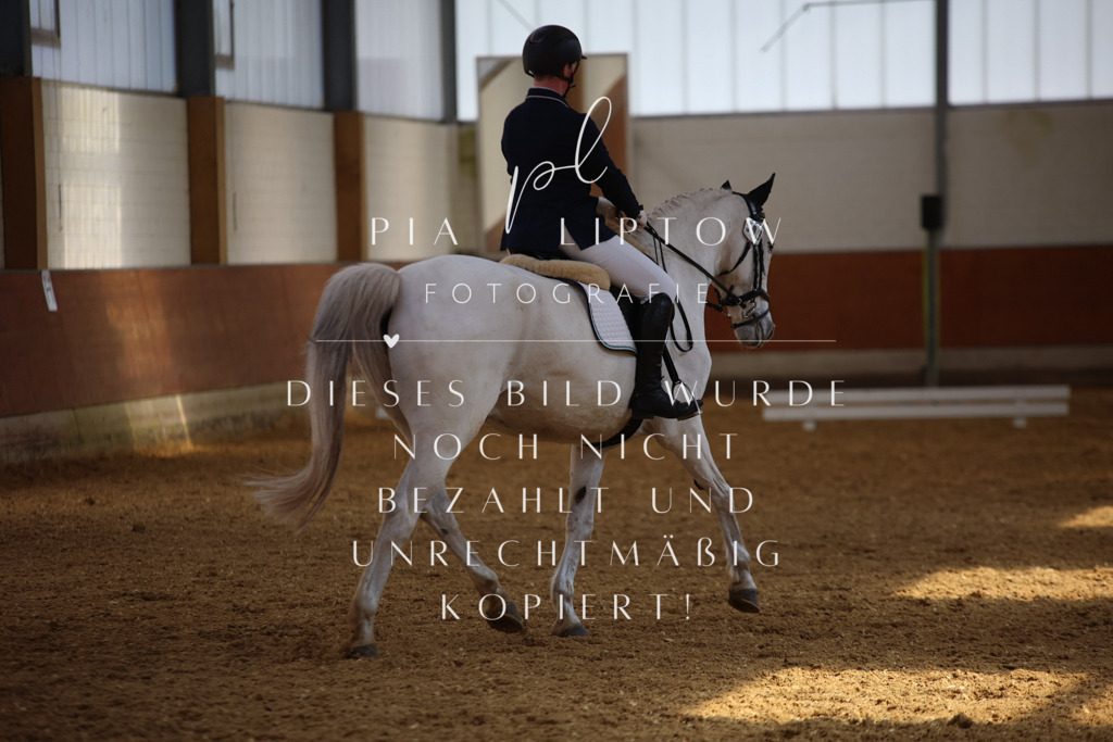 IMGT5157 | pl-fotografie