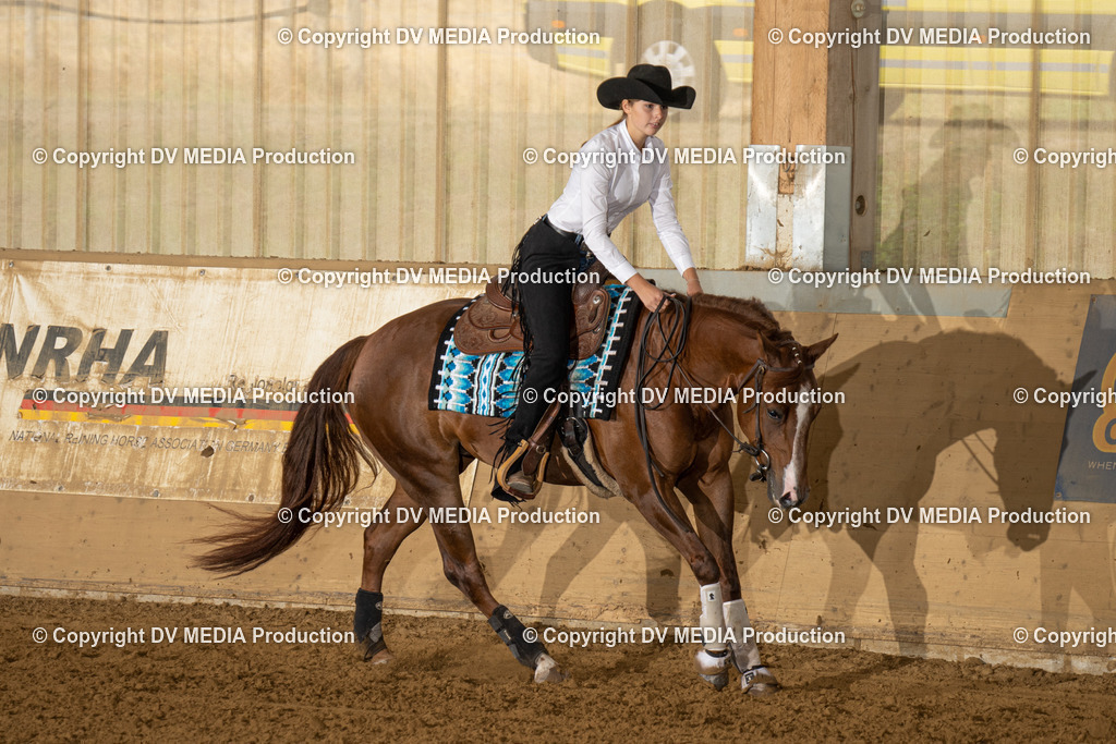 LAU01400 | dv-media-shop - Realisiert mit Pictrs.com