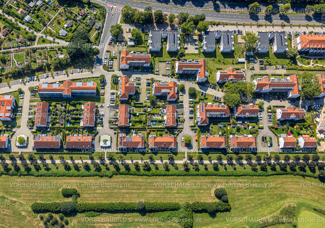 Gelsenkirchen240807096GE-Nord | Luftbild, Neubau Wohngebiet Am Bowengarten, Häuser mit roten Dächern und Baumallee, Horst, Gelsenkirchen, Ruhrgebiet, Nordrhein-Westfalen, Deutschland