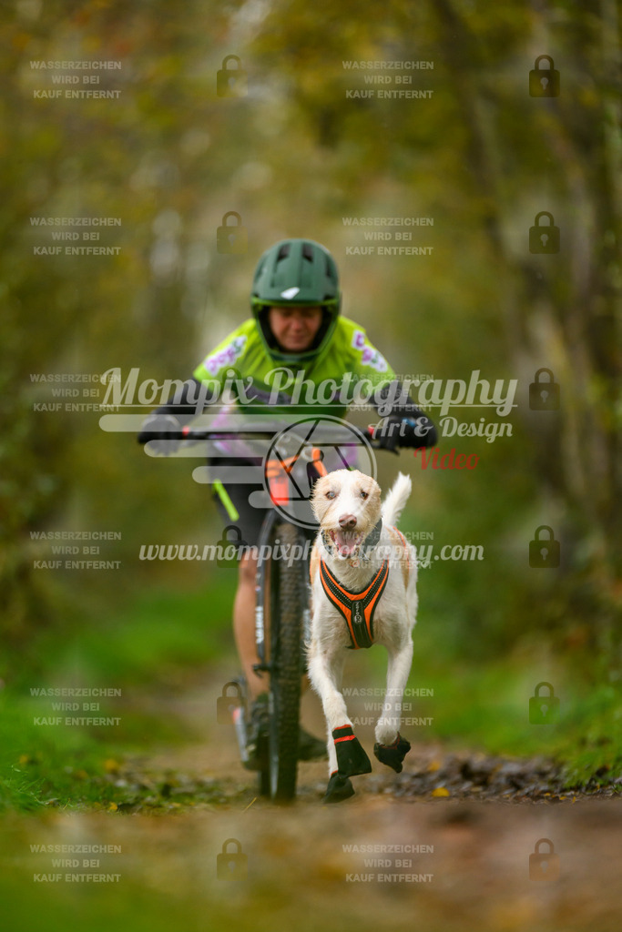 MompixPhotography_20TSB_E6_DS1-80 | PayLife