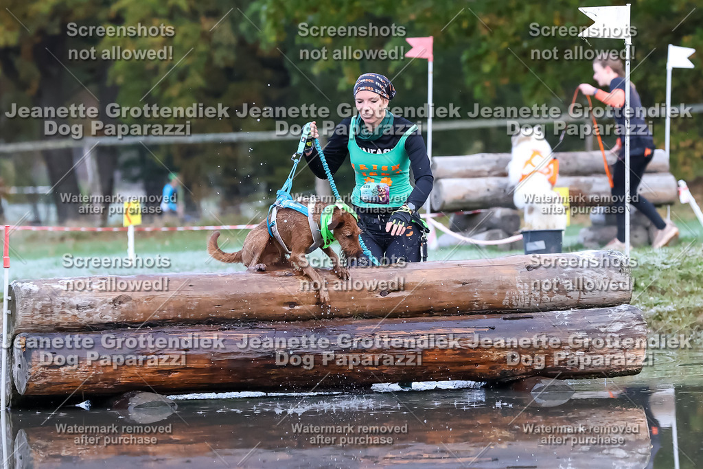 Dog Paparazzi - Strongdog 10-25-6192 | Dog Paparazzi Jeanette Grottendiek Fotografie & Videografie - Realisiert mit Pictrs.com