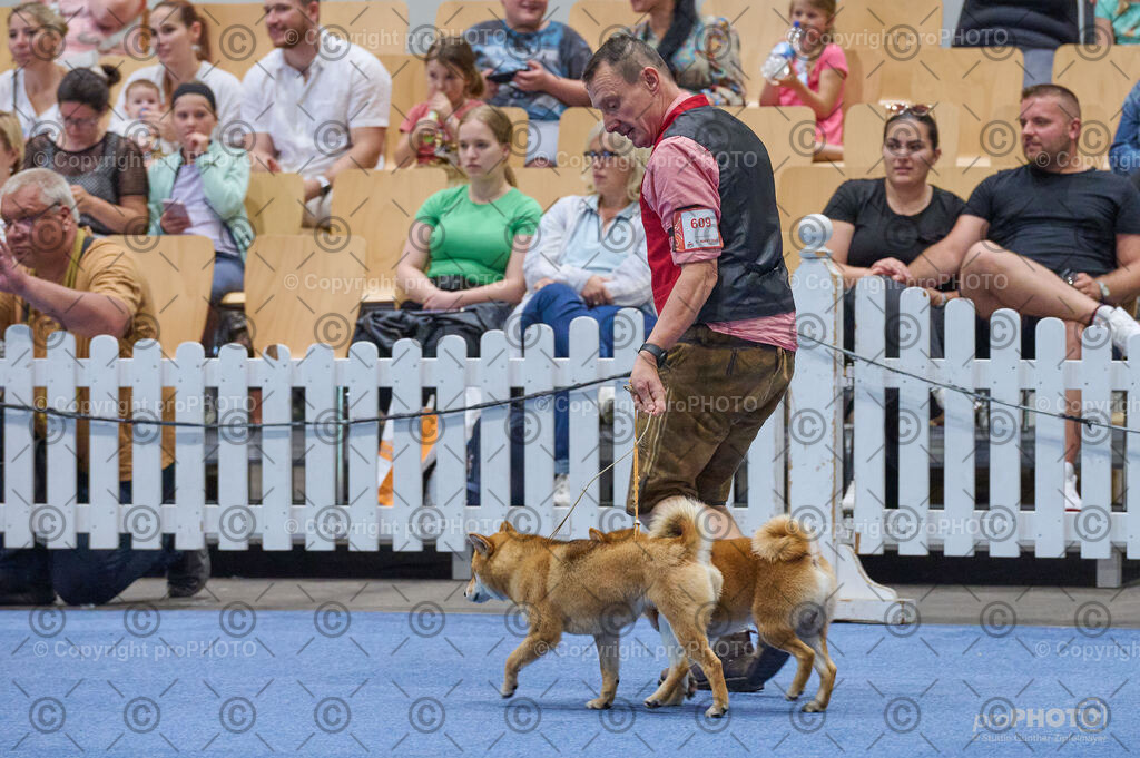 202406_ÖKV-IHA-Tulln24_DSC_4897 | proPHOTO - Realisiert mit Pictrs.com