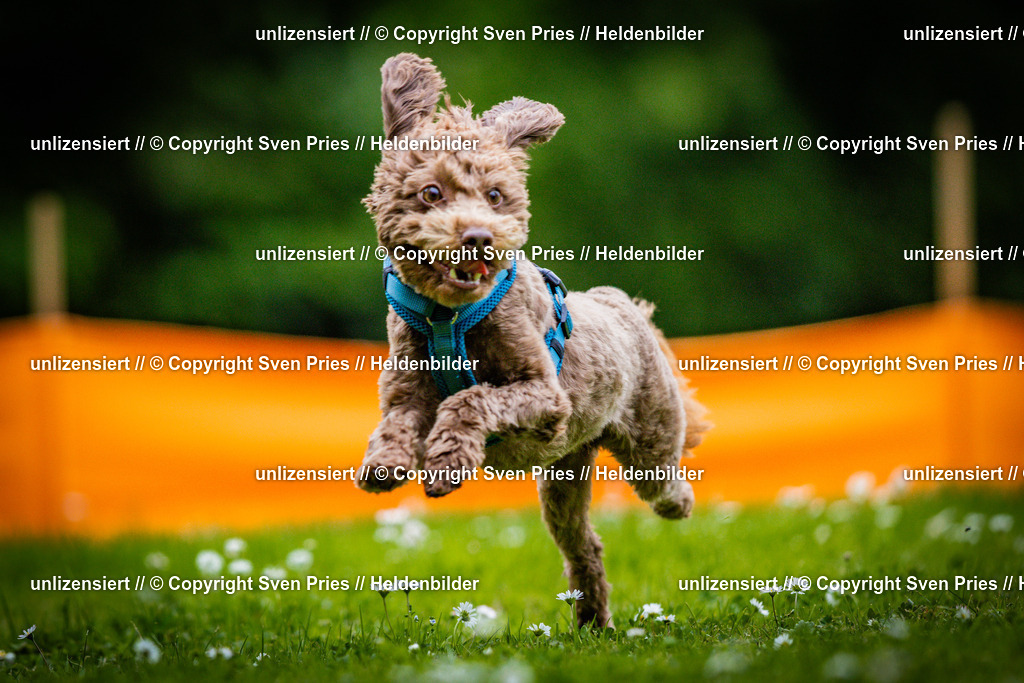 Sven Pries | 2025-05-29 - Pudelrennen KA-Durlach - Realisiert mit Pictrs.com