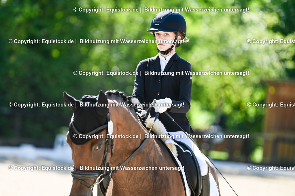 20230908_06_Dressur-L-Trense_0300 | equistock