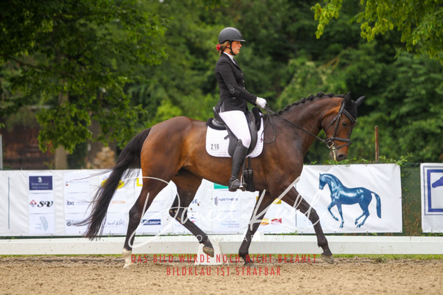 DKP41816 | Turniersportfotografie; Pferdefotografie; Dressurfotografie