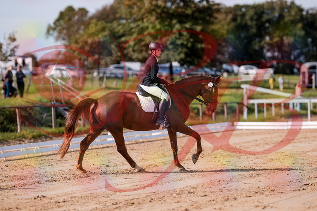 2026_10_03_Siefer-Hof_114422_Z81_86980840 | Professionelle Reitsport-, Turnier- und Eventfotografie von Robert Broda. Galerien mit ausgewählten und bearbeiteten Bildern direkt online ansehen und bestellen.