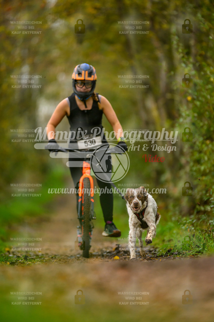 MompixPhotography_20TSB_E6_DS1-75 | PayLife