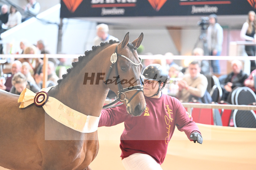 Kat-Nr. 1 Alaba_Wilbers_1231688 | hf-fotografie - Realizzato con Pictrs.com
