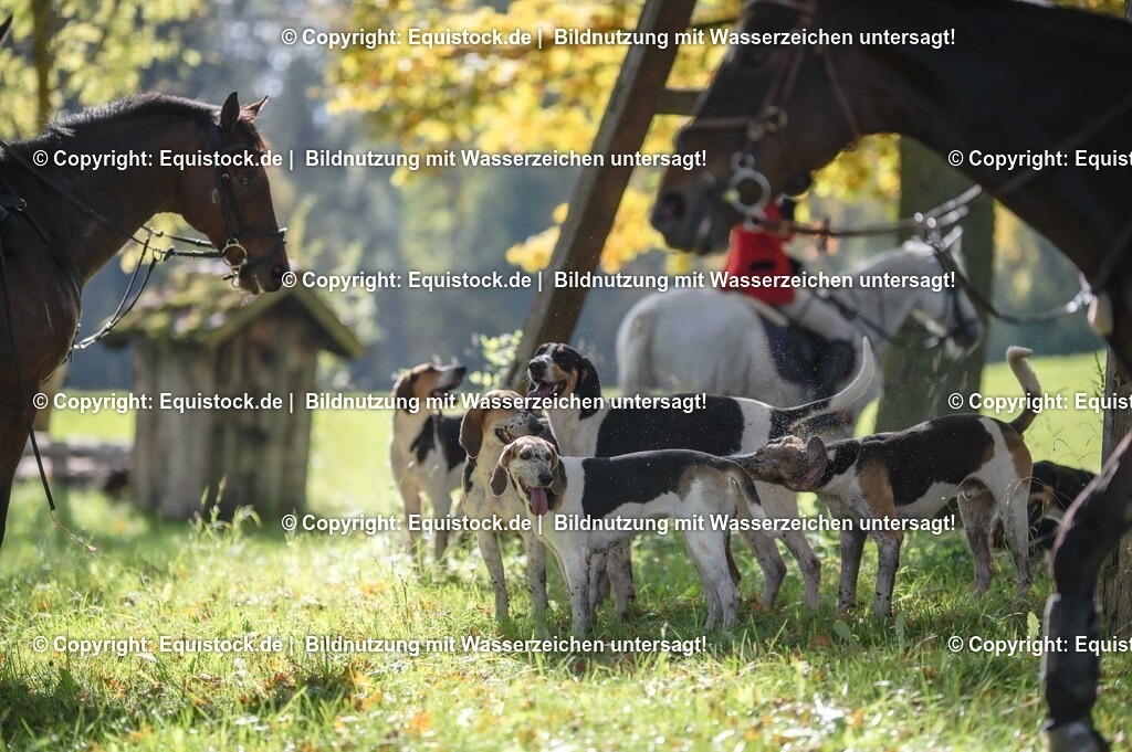 20251011_Jagd-Marbach_0446 | Foto: Thomas Hartig