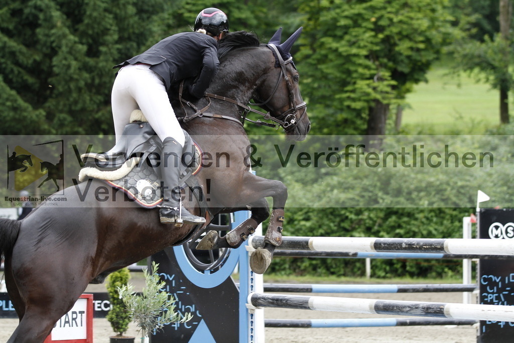 _MG_8409 | equestrian-live-com