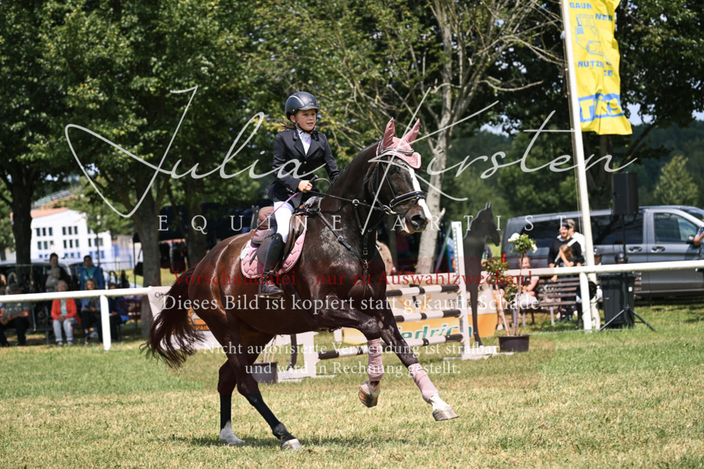 DSC_9369 | Pferde- und Turnierfotografie in Westsachsen. Pferdeportraits, Auftragszeichnungen und intuitive Kunst.