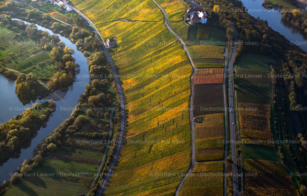 3905373 | Weinberge am Busigberg Großheubach