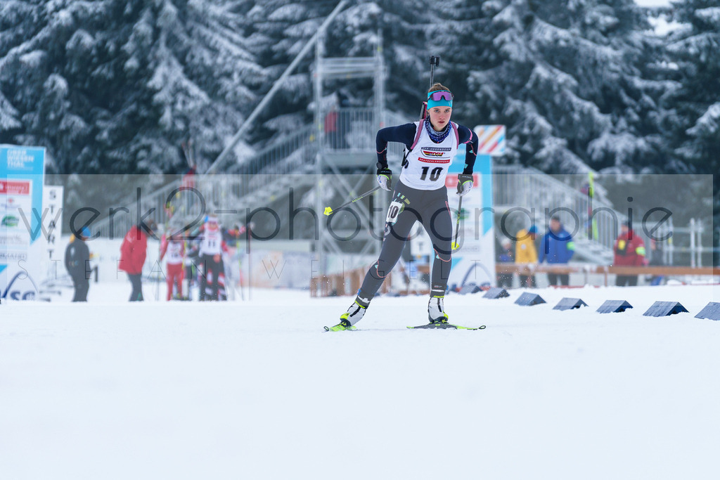 DP Oberwiesenthal | Alpencup/DP Deutschlandpokal in Oberwiesenthal am 15.-17.12.2023