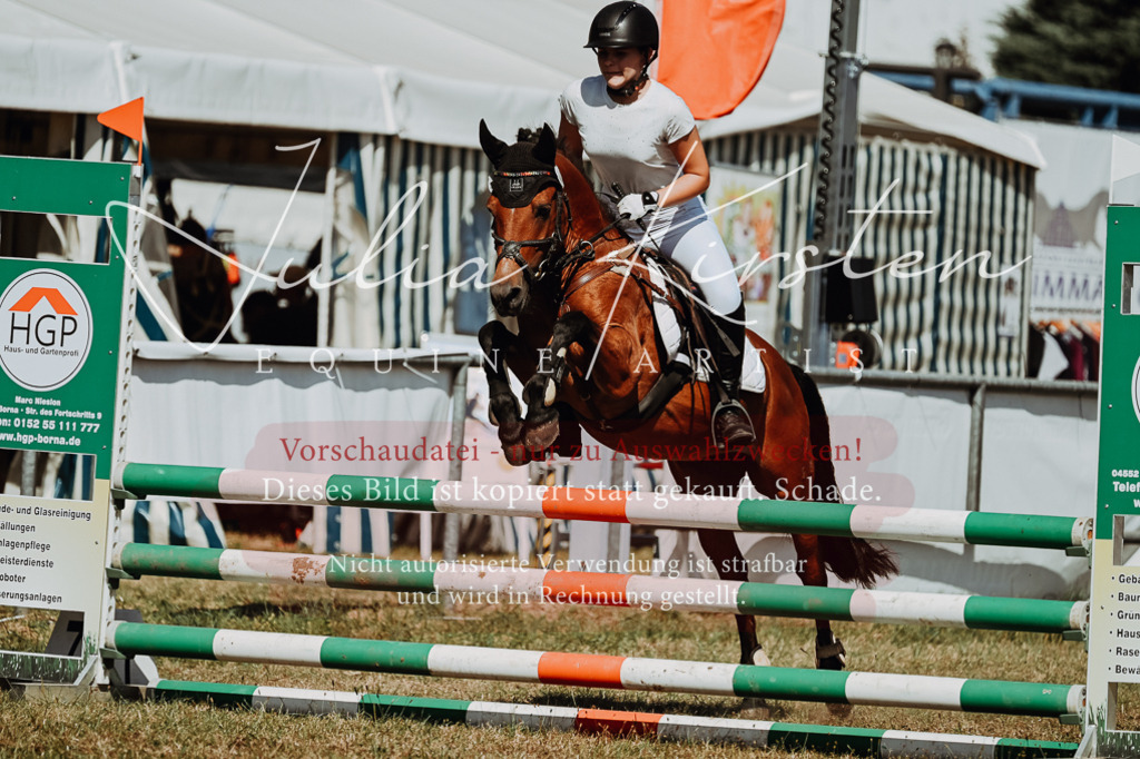 DSC_9957 | Pferde- und Turnierfotografie in Westsachsen. Pferdeportraits, Auftragszeichnungen und intuitive Kunst.