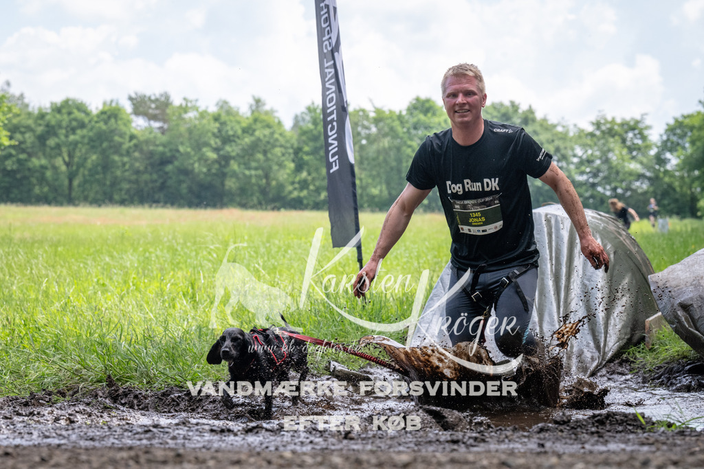 1137_ZZ93342 | kk-dogfotos