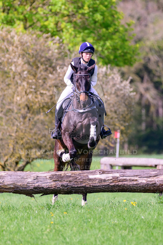 18042026-Gernlinden-04-1-0050 | Fokus Hufschlag Fotografie - Realisiert mit Pictrs.com