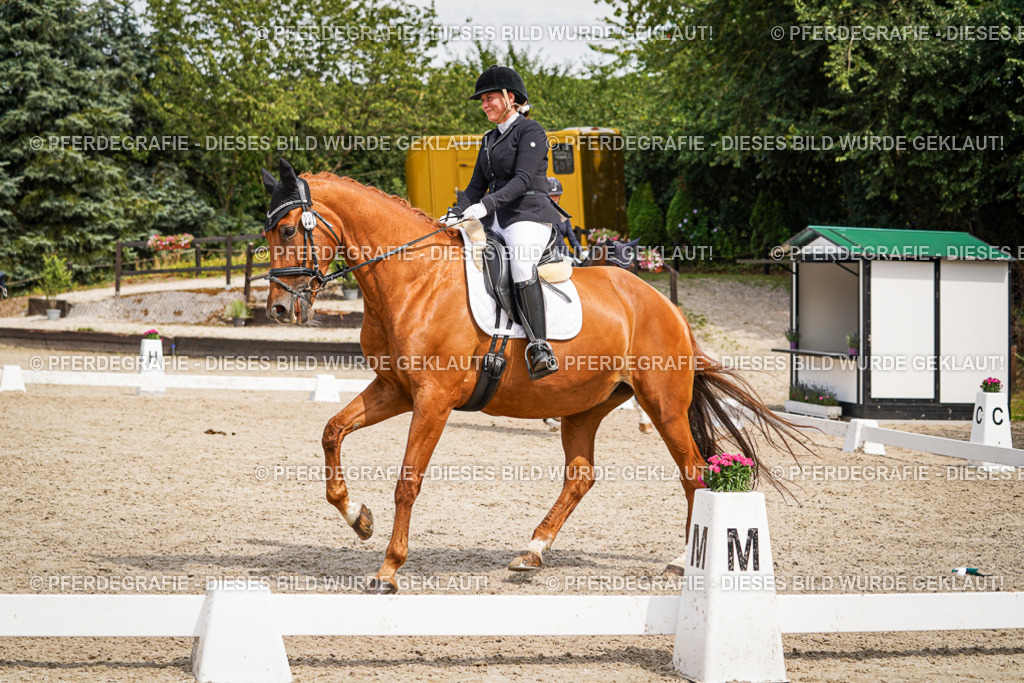 DSC04646 | Pferdegrafie