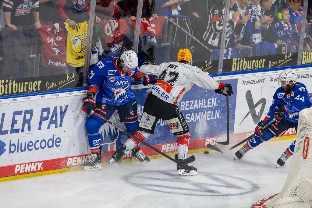 DEL, Deutsche Eishockey Liga Saison 2025/26, 24. Spieltag: Adler Mannheim gegen Fischtown Pinguins Bremerhaven | DEL, Deutsche Eishockey Liga Saison 2025/26, 24. Spieltag: Adler Mannheim gegen Fischtown Pinguins Bremerhaven***Im Zweikampf an der Bande: Kris Bennett (21, Mannheim) und Matthew Abt (42, Bremerhaven) - Realisiert mit Pictrs.com