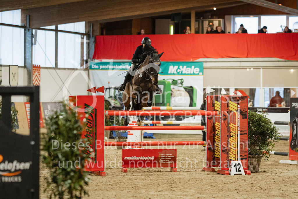 240316_Borgholzhausen_S1-213 | Deine schönsten Turniermomente als professionelle Fotos! Entdecke hochwertige Pferdesport-Fotografie im Online-Shop. Jetzt Fotos finden & bestellen!