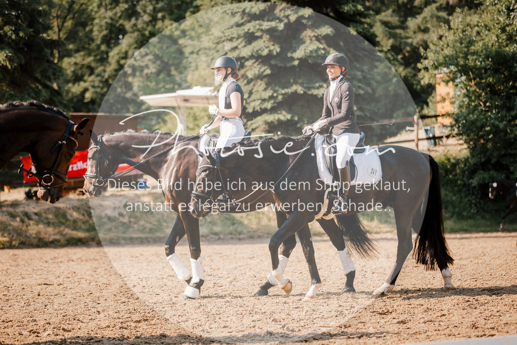 3I6A9067 | Stimmungsvolle Portraits und Reitsportfotografie im Ruhrgebiet und im Münsterland.

Pferdefotografie, Hundefotografie, Tierfotografie, Reportagen, Portraits von Tier und Mensch, Turnierfotografie in Bochum, Recklinghausen, Marl, Haltern am See, Dülmen.. - Realisiert mit Pictrs.com
