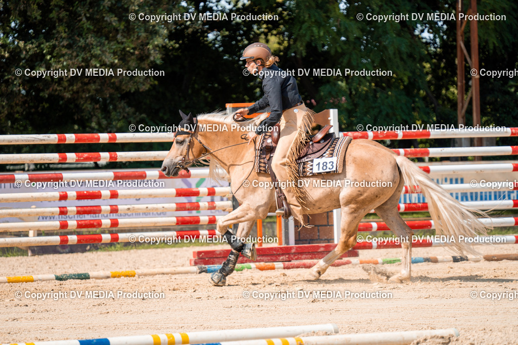 ZH100305 | dv-media-shop - Realisiert mit Pictrs.com