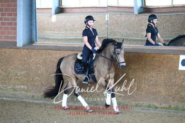 DKP42790 | Turniersportfotografie; Pferdefotografie; Dressurfotografie