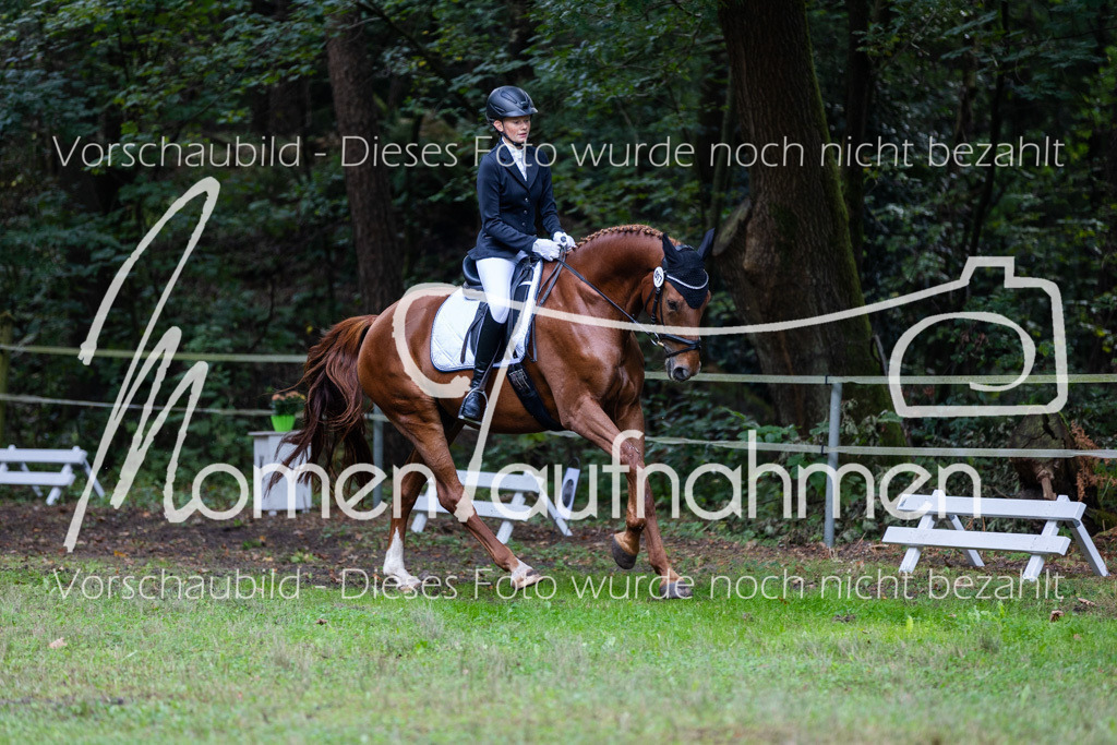 HB-A-Dressur-058 | MomenTaufnahmen Pferdesportfotos